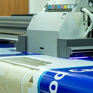 পিই টারপলিন এবং পিভিসি টারপলিনের মধ্যে পার্থক্য